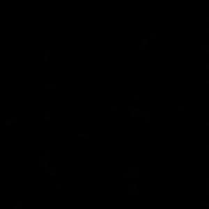 Meet your Posher, Jackson